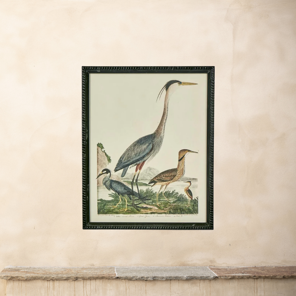 L’Oiseau Collection #1