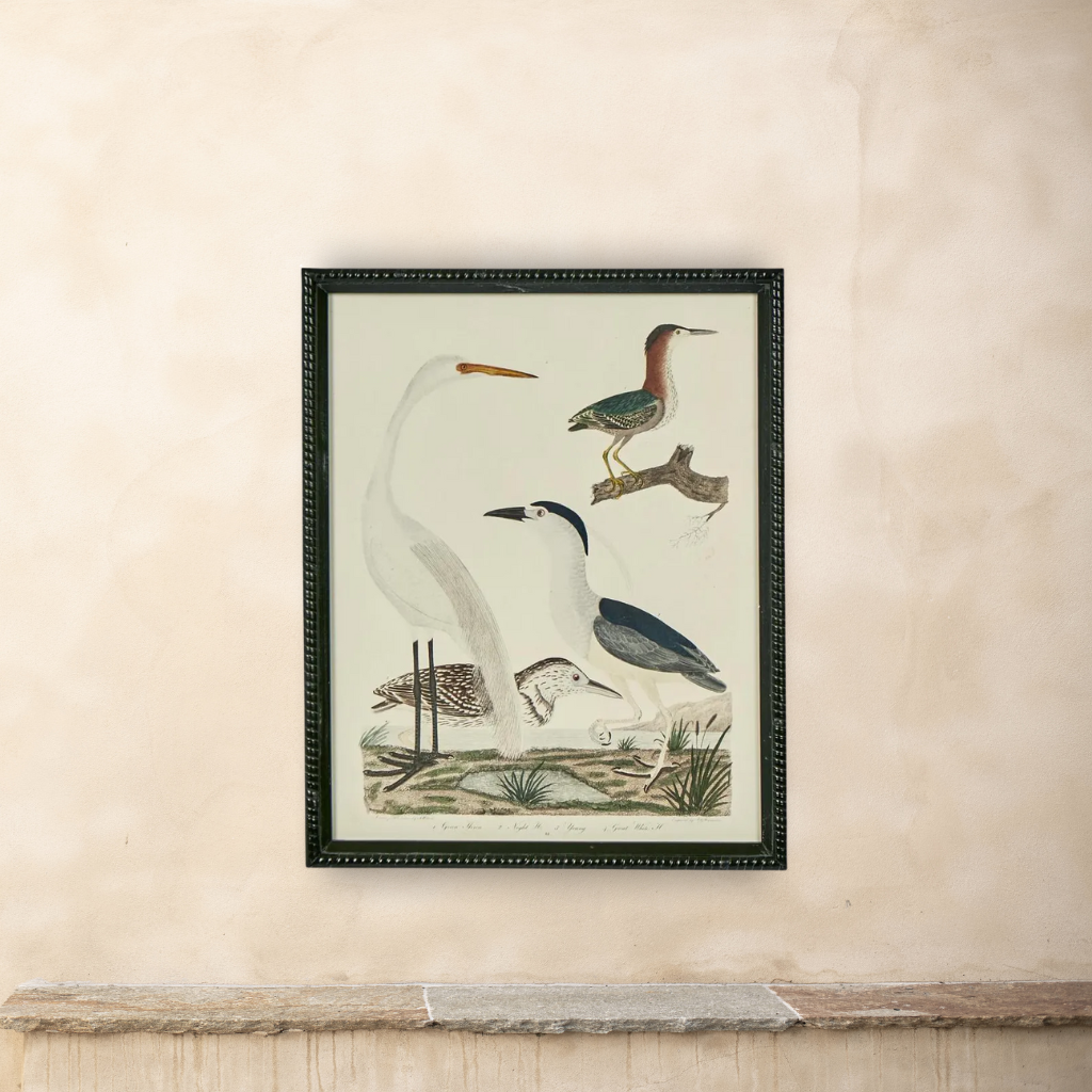 L’Oiseau Collection #2