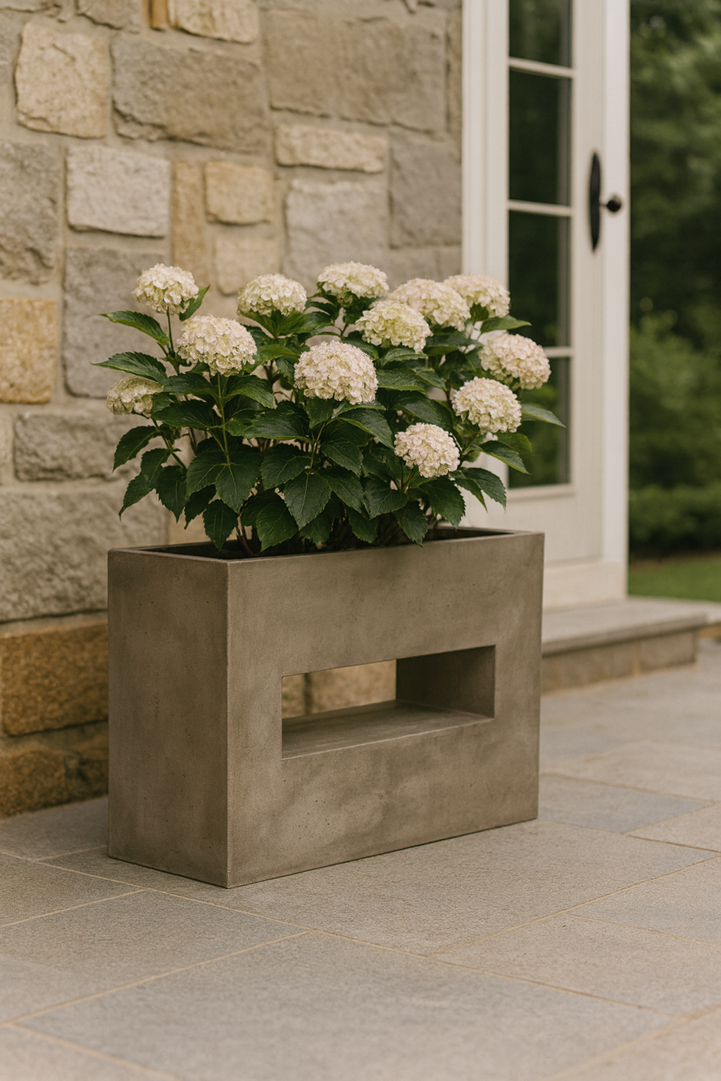 Pots & Planters