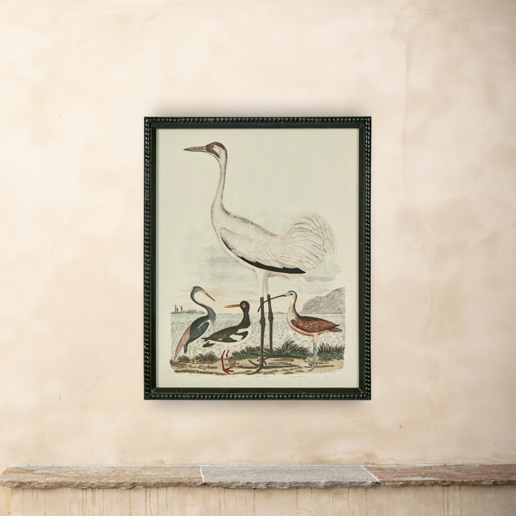 L’Oiseau Collection #3