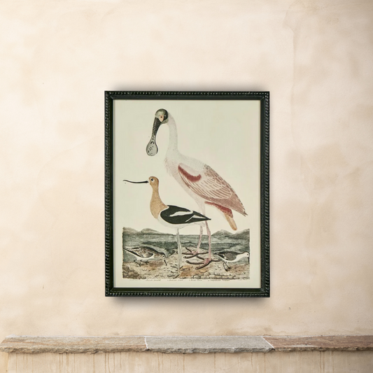 L’Oiseau Collection #4