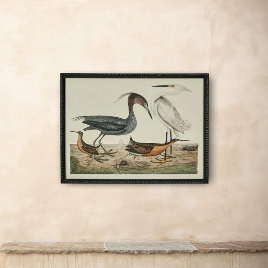 L’Oiseau Collection #5