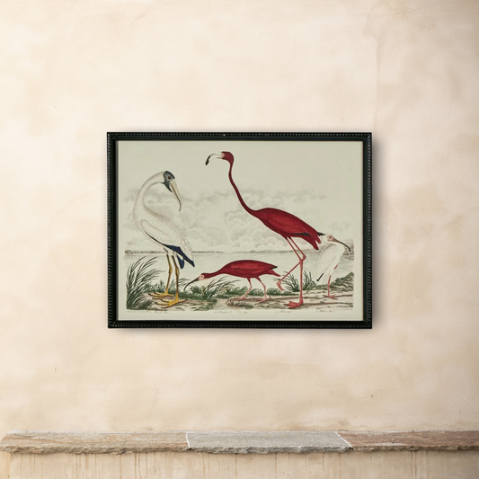 L’Oiseau Collection #6