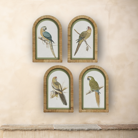 Parrots Wall Art (Set of 4)